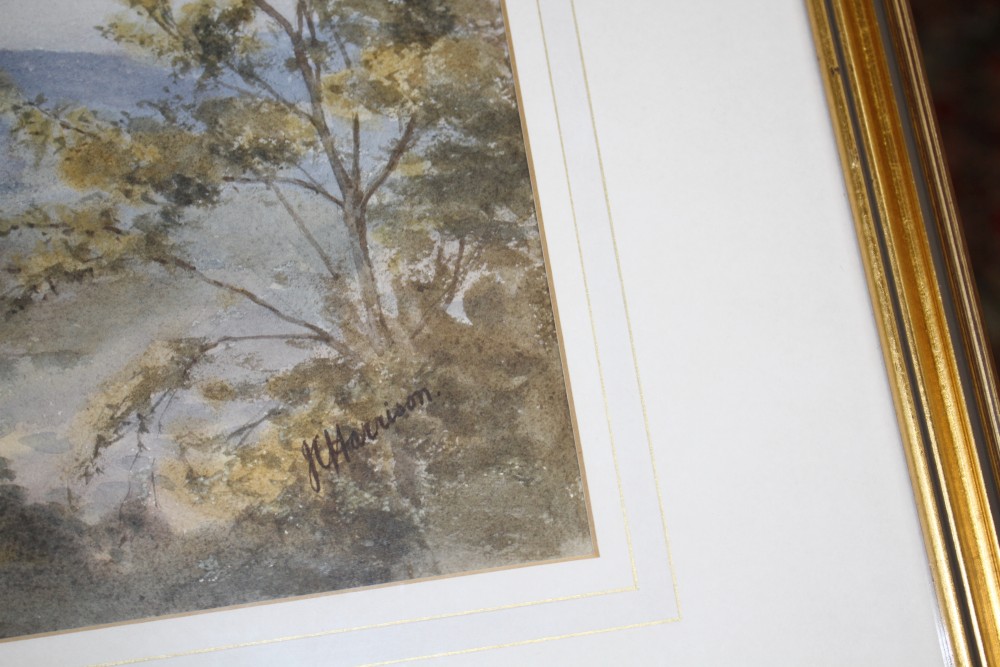 John Cyril Harrison (1898-1985), watercolour, Martial Eagle - Zimbabwe dry season, signed, 33 x 47cm